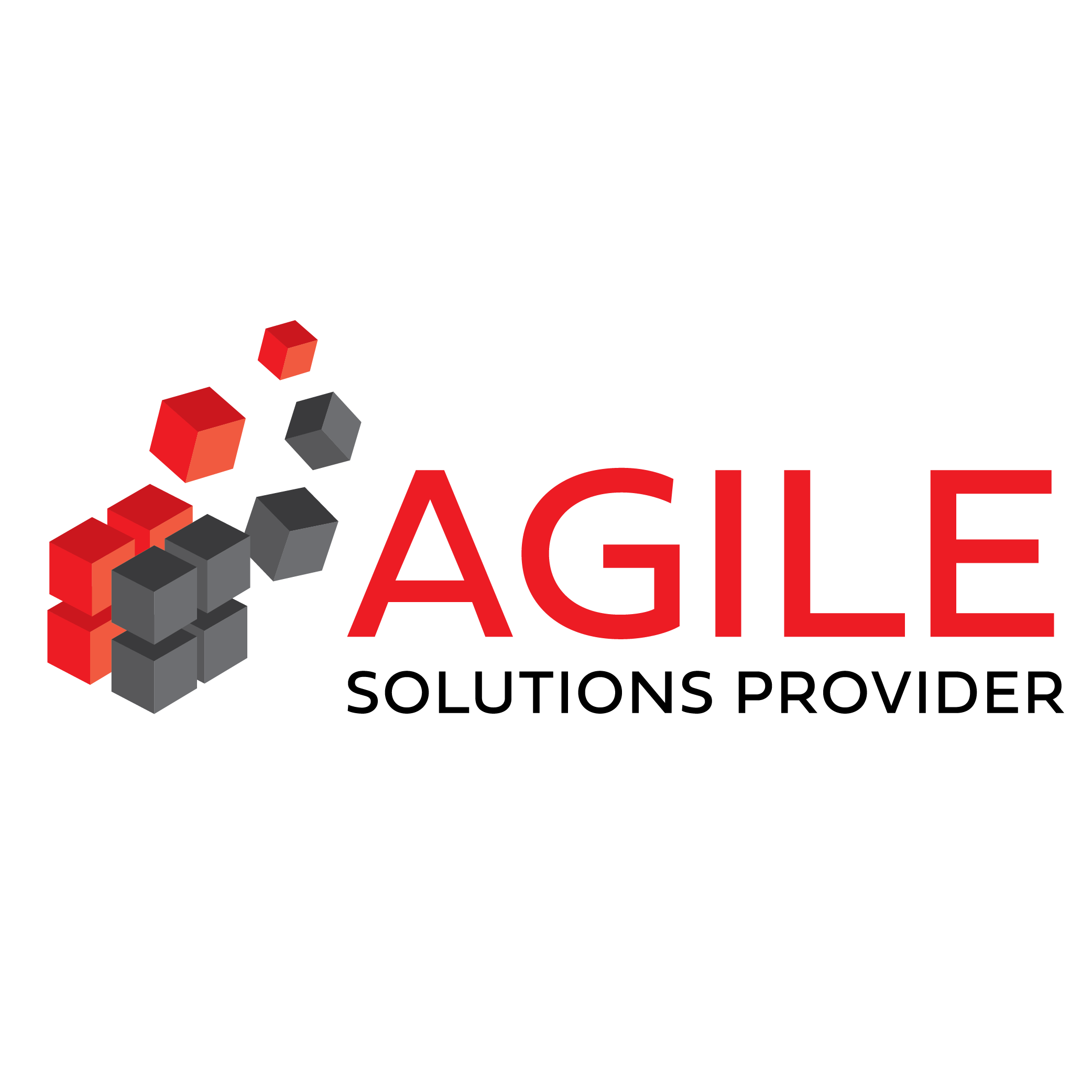 Agile Solutions Provider